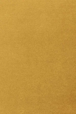 Ковровое покрытие AW Oinone 54 - (4м) в Екатеринбурге