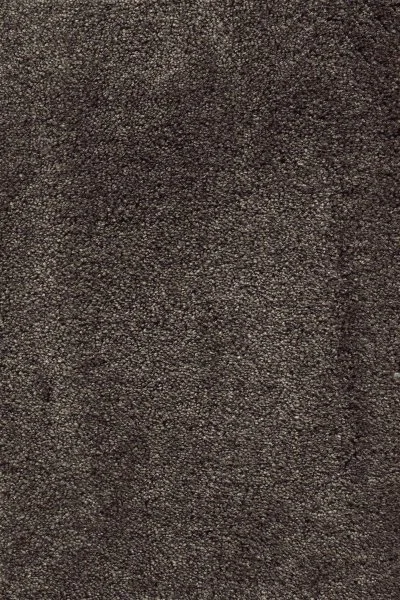 Ковровое покрытие AW Fedone 44 - (5м) в Екатеринбурге