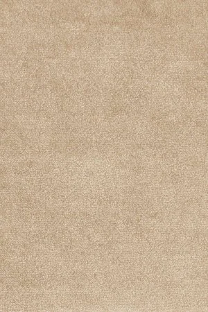 Ковровое покрытие AW Omphale 37 - (4м) в Екатеринбурге