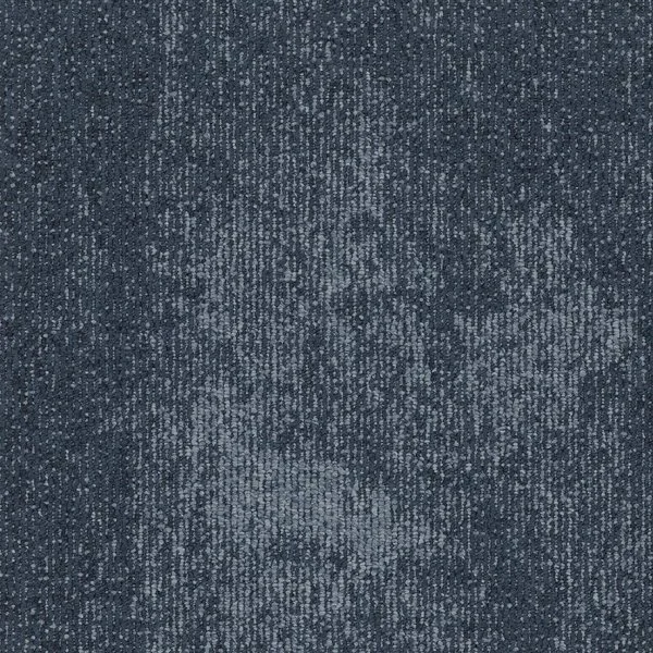 __Bonkeel_Sensei_Blue __Bonkeel_Sensei_Blue