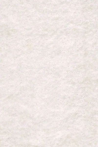 Ковровое покрытие AW Euphoria 03 - (5м)