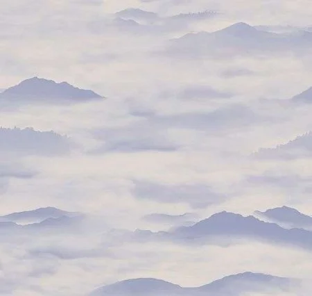 Обои Loymina Clair CLR4, 006 в Екатеринбурге