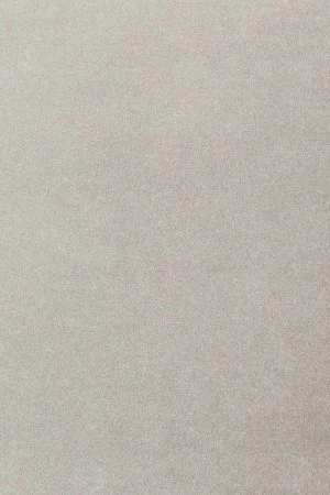 Ковровое покрытие AW Oinone 92 - (4м) в Екатеринбурге