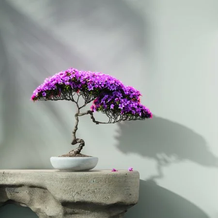 Обои Loymina Lotus LOT1 112 в Екатеринбурге