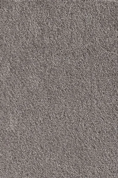 Ковровое покрытие AW Messalina 49 - (5м) в Екатеринбурге