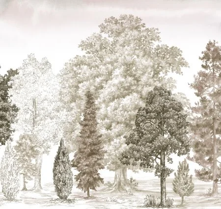 Обои Loymina Пейзаж vol. 2 ART14 012 в Екатеринбурге