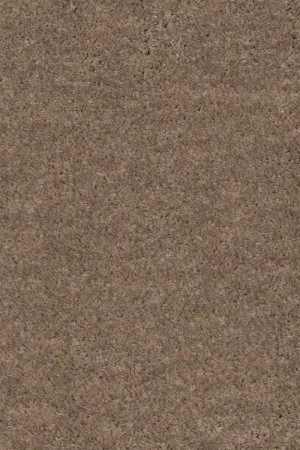 Ковровое покрытие AW Euphoria 36 - (4м) в Екатеринбурге