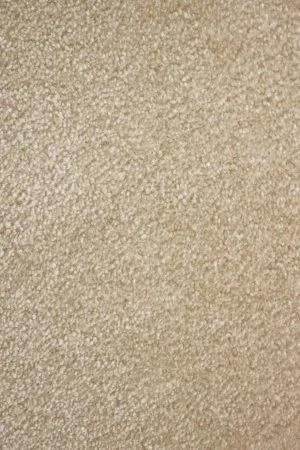 Ковровое покрытие AW Euphoria 33 - (5м) в Екатеринбурге