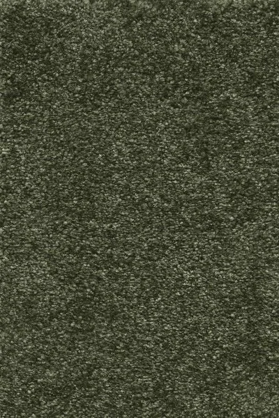 Ковровое покрытие AW Certosa 24 - (4м) в Екатеринбурге