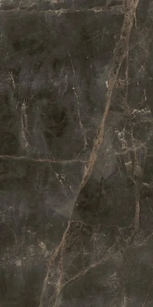 Керамогранит Coliseum Канова Дарк 60х120 (Натуральный и Реттифицированный) в Екатеринбурге