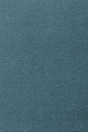 Ковровое покрытие AW Oinone 74 - (5м) в Екатеринбурге