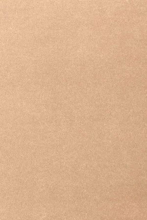 Ковровое покрытие AW Oinone 08 - (4м) в Екатеринбурге