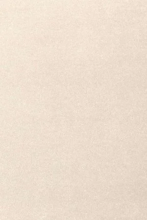 Ковровое покрытие AW Oinone 03 - (4м) в Екатеринбурге