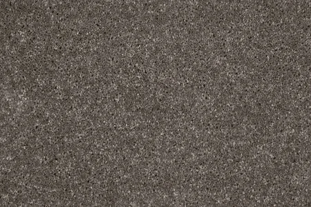 Ковровое покрытие AW Gala 49 - (5м) в Екатеринбурге