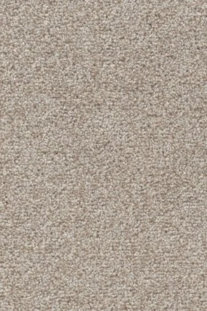 Ковровое покрытие AW Stainguard Harvest 04 - (4м) в Екатеринбурге