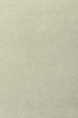 Ковровое покрытие AW Oinone 02 - (5м) в Екатеринбурге