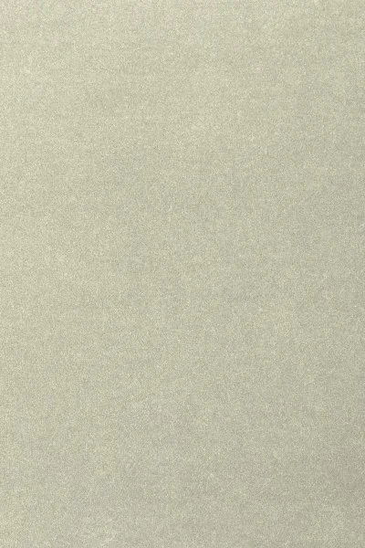 Ковровое покрытие AW Oinone 02 - (4м) в Екатеринбурге