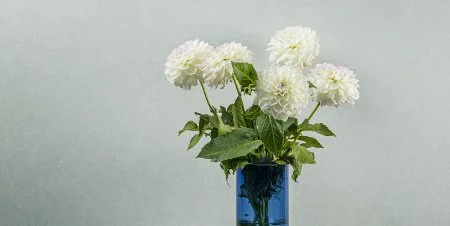 Обои Loymina Shade vol.2 SDR5, 001 в Екатеринбурге