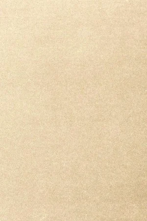 Ковровое покрытие AW Oinone 33 - (5м) в Екатеринбурге