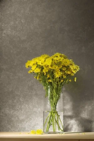 Обои Loymina Golden Library TDG 7, 008 в Екатеринбурге