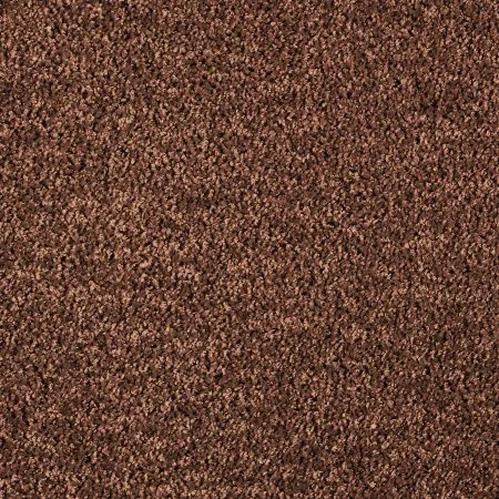 Ковровое покрытие AW Kiama 48 - (5м) в Екатеринбурге