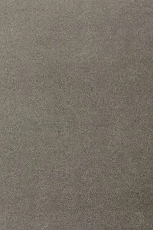 Ковровое покрытие AW Oinone 95 - (4м) в Екатеринбурге