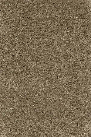 Ковровое покрытие AW Certosa 35 - (5м) в Екатеринбурге