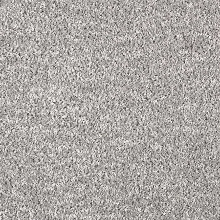 Ковровое покрытие AW Kiama 97 - (5м) в Екатеринбурге