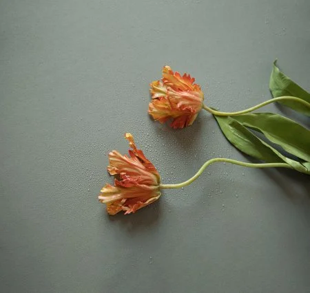 Обои Loymina Russian Classic Ru10, 006 в Екатеринбурге