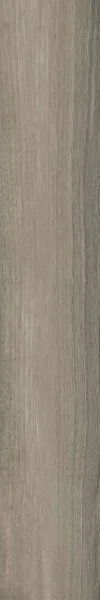 Керамогранит Italon Мезон Фумэ (Натуральная и реттифицированная, 20x120)