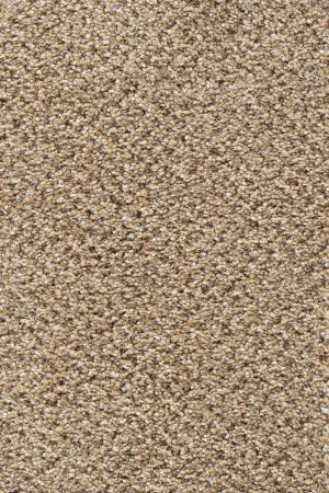 Ковровое покрытие AW Stainaway Tweed 50 - (4м) в Екатеринбурге