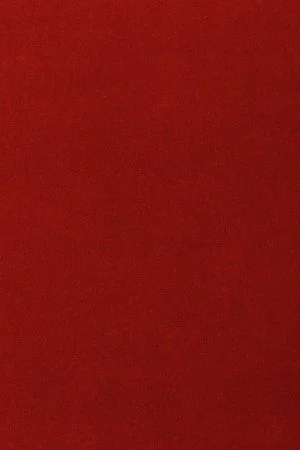 Ковровое покрытие AW Oinone 10 - (5м) в Екатеринбурге