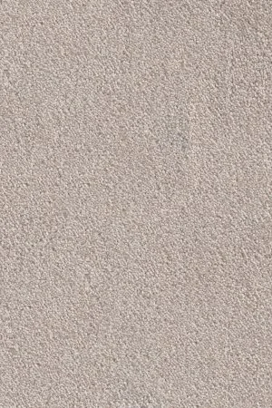 Ковровое покрытие AW Messalina 37 - (5м) в Екатеринбурге