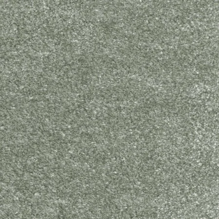 Ковровое покрытие AW Euphoria 28 - (5м) в Екатеринбурге