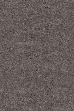 Ковровое покрытие AW Euphoria 45 - (5м) в Екатеринбурге