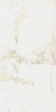 Керамогранит Coliseum Канова Уайт 60х120 (Натуральный и Реттифицированный) в Екатеринбурге