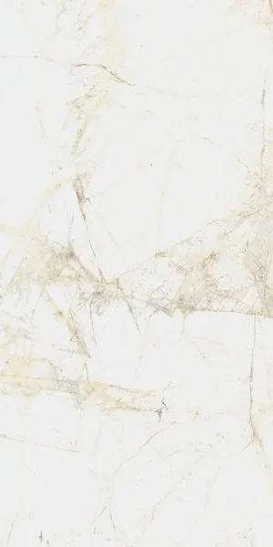 Керамогранит Coliseum Канова Уайт 60х120 (Натуральный и Реттифицированный) в Екатеринбурге