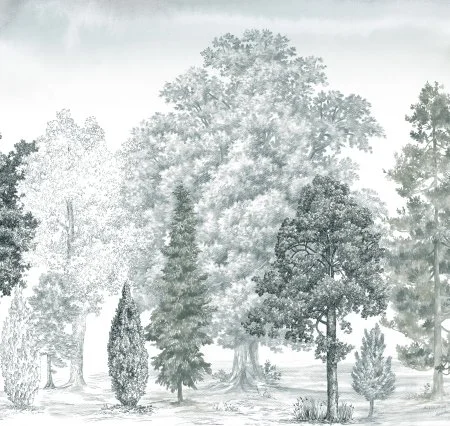 Обои Loymina Пейзаж vol. 2 ART14 011 в Екатеринбурге