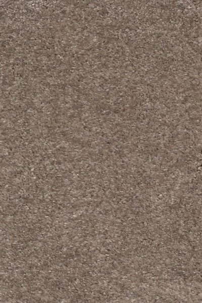 Ковровое покрытие AW Dioniso 40 - (5м)