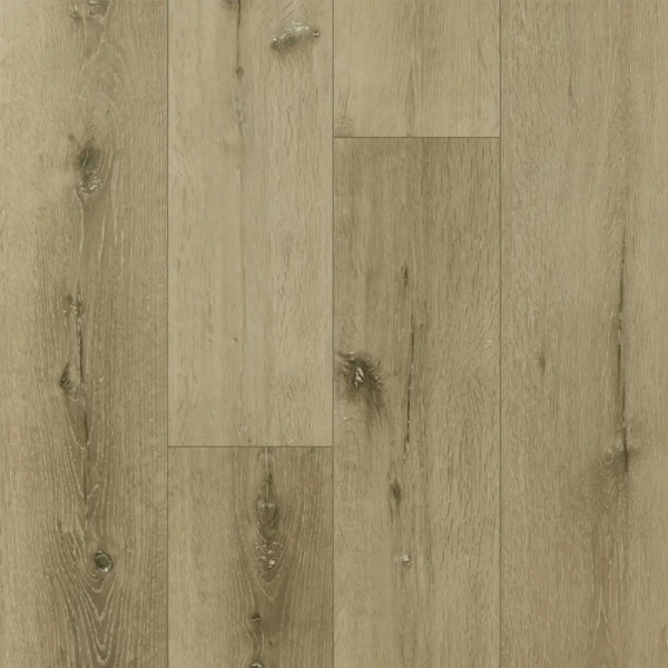 Fargo Bevel Дуб Кантри 50-1603_result