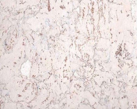 Настенное пробковое покрытие CorkArt PW 324 WS в Екатеринбурге