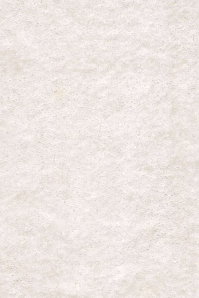 Ковровое покрытие AW Euphoria 03 - (5м) в #REGION_NAME_DECLINE_PP#