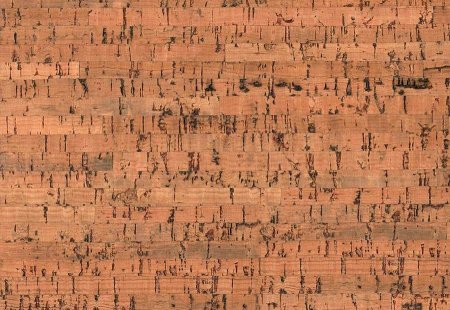 Настенное пробковое покрытие CorkStyle Costa в Екатеринбурге