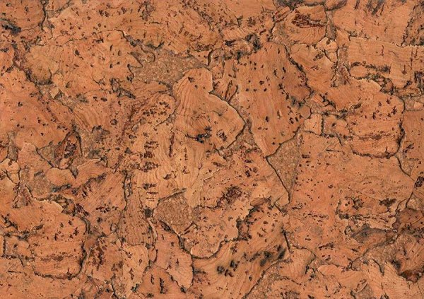 Настенное пробковое покрытие CorkStyle Monte Nat в #REGION_NAME_DECLINE_PP#